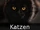 DE-Tiere-cats.jpg