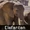 DE-Tiere-elephants.jpg