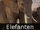 DE-Tiere-elephants.jpg