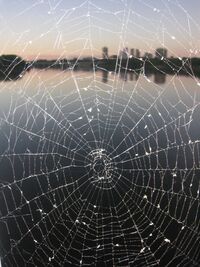 SpiderWebSkyline-1