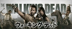 Walkingdead banner