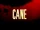 Cane.jpg