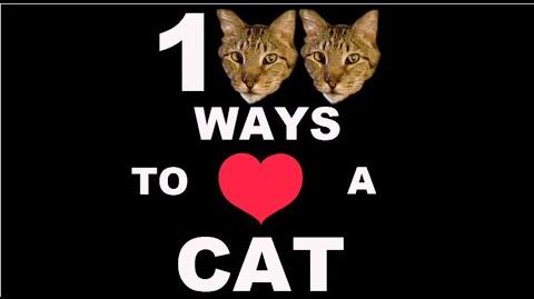 100 Ways To Love A Cat Ways 1-100