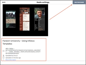Select "use this image". Note the File data on the left.