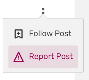 Reporting option.png