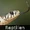 DE-Tiere-reptiles.jpg