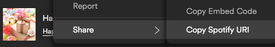 Spotify CopyURI