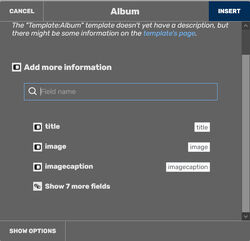 Immagine di un utente che seleziona i parametri nel VisualEditor in un template chiamato "Album". I parametri del template sono "titolo, immagine, didascalia", e il pulsante dice "Aggiungi più campi"