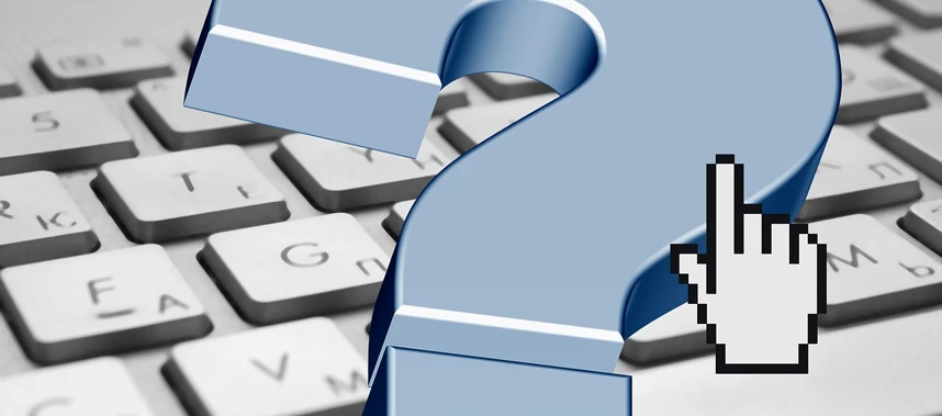 Fandom インターナショナルの新体制について