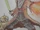8BD839F8-F89D-492B-9A21-6D17930175EF.jpeg