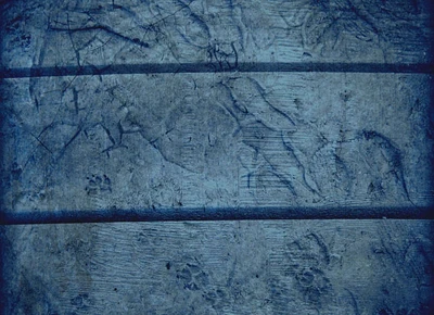 Recent Changes Tracks All Contributions