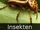 DE-Tiere-insects.jpg