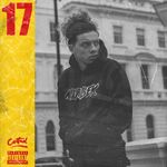 17 (2017)