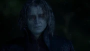 Rumple 315