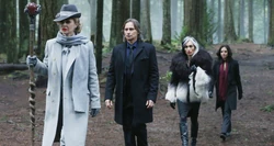 4x16