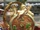 Minton & Co. - Palissy ewer.JPG