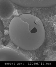 SEM Micrografía de Cristal  Cenoesferas en Concrete
