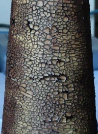 Terra sigillata elaboración