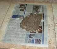 Paperclay003.jpg (141 kB) luego preparas el papel de diario (3 hojas) sobre un yeso