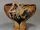 Makuzukozanpottery.jpg