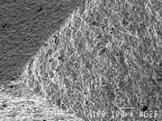 Ceramic fractured SEM