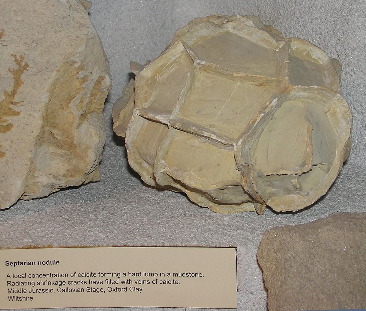 Lutolita Cerámica Wiki Fandom