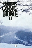 Cerebus No. 262