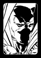 19. Spawn