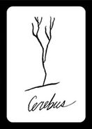 53. Cerebus "Tree" sketch "What do Elrod's sketches look like? He probably does a lousy tree." -Cerebus
