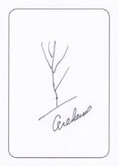 Dave Sim Cerebus Tree sketch card Available with the High Society: The Regency Edition "Candidate" and "Prime Minister" editions