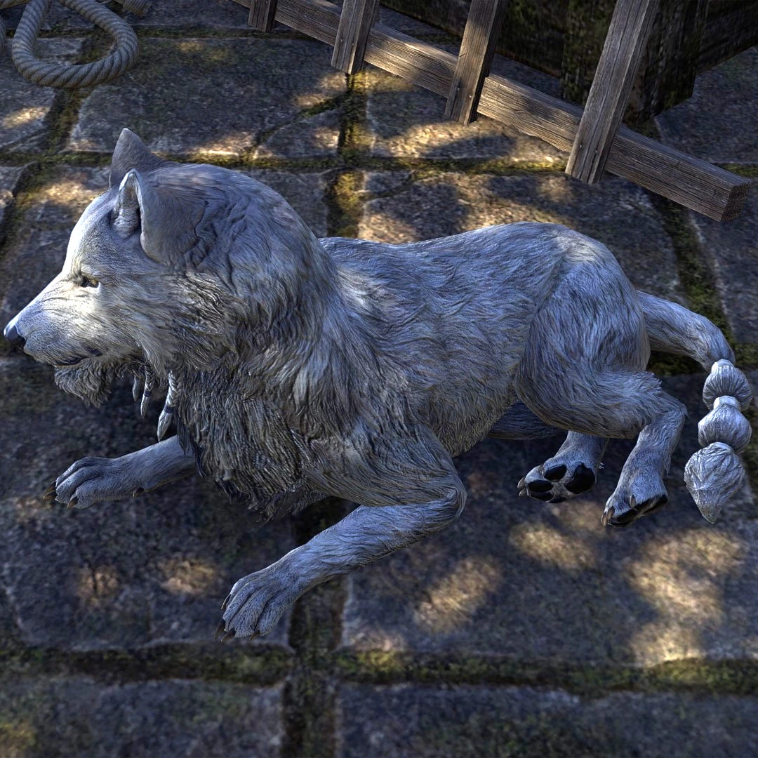 Floofer | Cesarska Biblioteka | Fandom