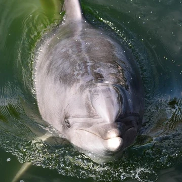 360?cb=20231115212146