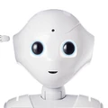 Pepper