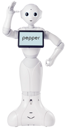 早い者勝ち ロボット ペッパーくん その他