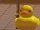 Teh Epik Ducky