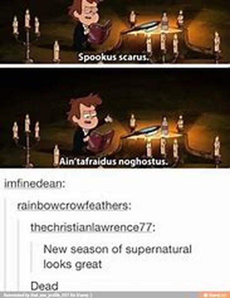 Fandom Image