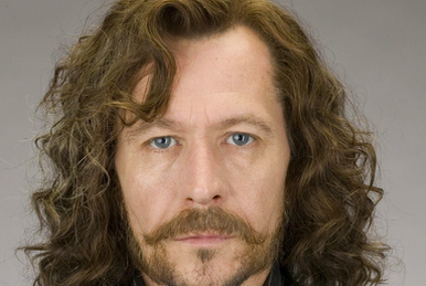 Sirius Black | Harry Potter Wiki | Fandom