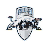 Birmingham Bulls - History