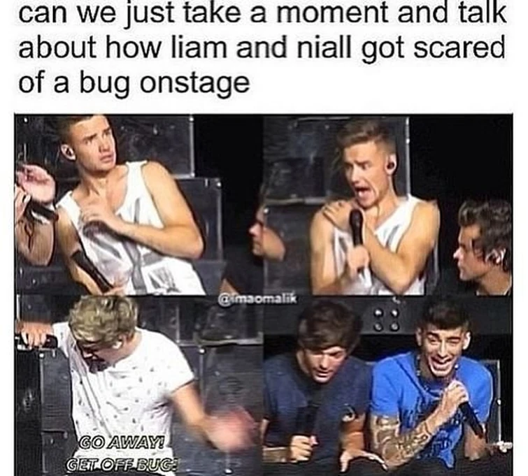 So Funny And Cute Lln Btw I Know This Is Bts I Just Thought U Should See The Real Deal Lln Fandom