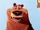Boog