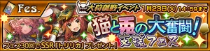 Struggle of the Cats and Rabbits Support Festival