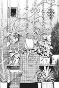 Volume 8 Inside Cover
