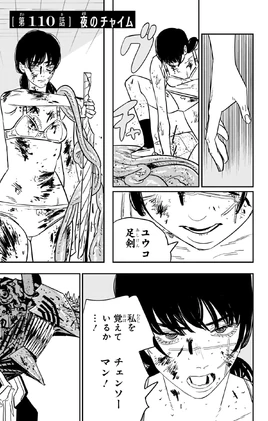 Chapter 110 Title Page