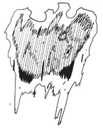 Pochita Sketch #8 (Chapter 69)