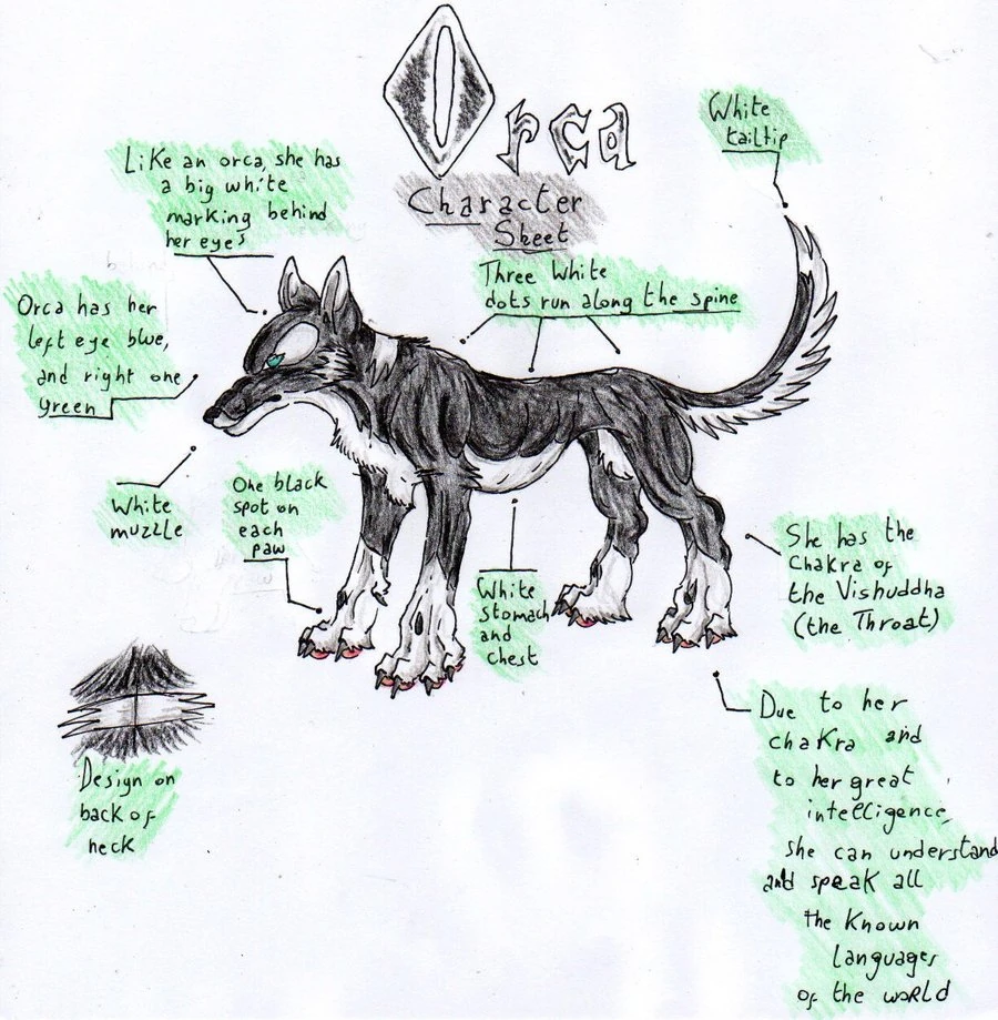 Bricart Noémie (bricartnomie) - Profile | Pinterest, image size:900x919