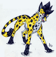 Cheetah