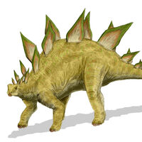 恐竜 Chaku Wiki Fandom
