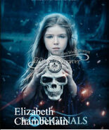 Elizabeth Poster