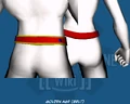 Golden Age (Belt) - Back