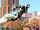 Flight